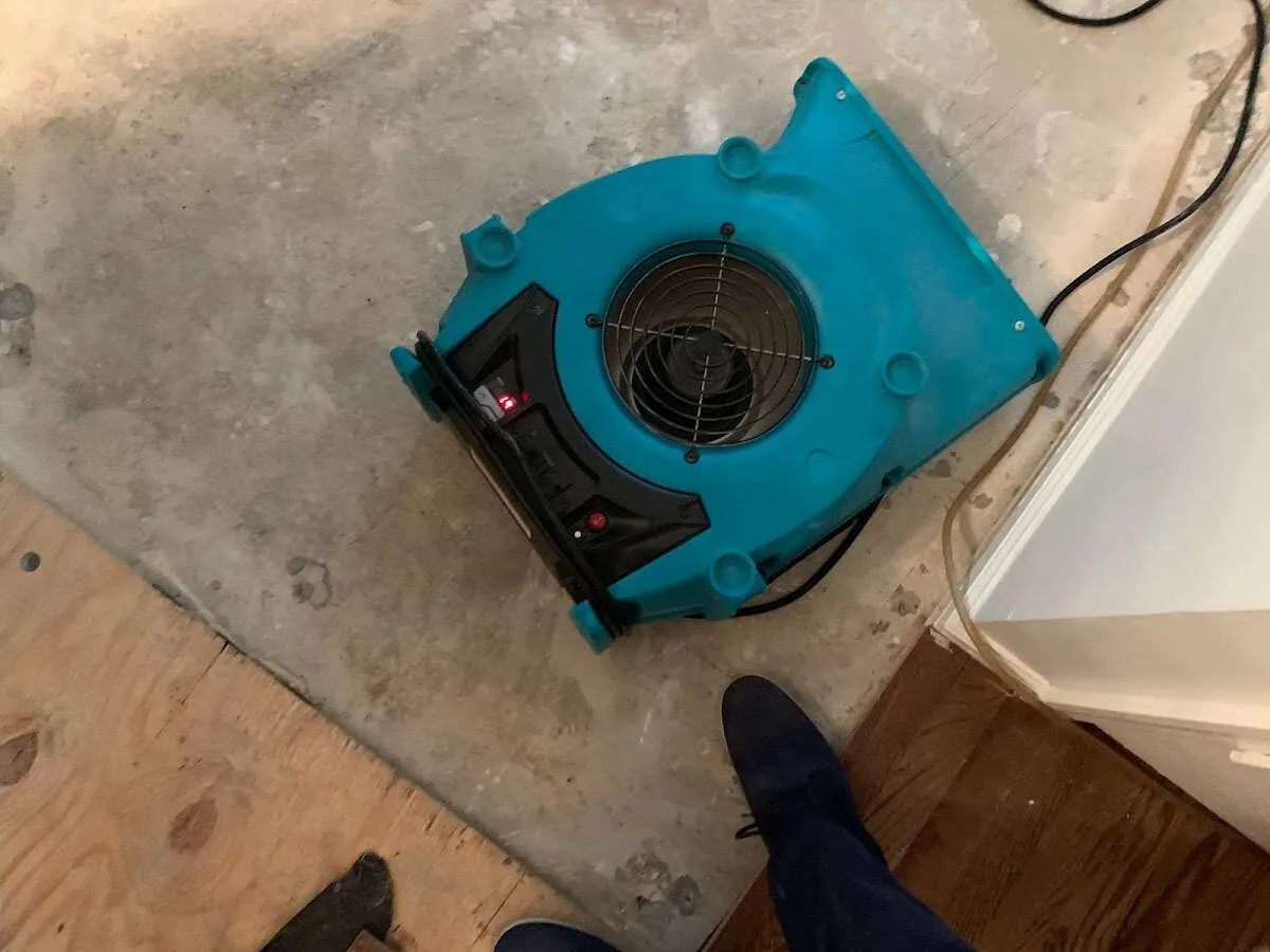 Air mover drying subfloor during Leak Detection & Repair in Tacoma